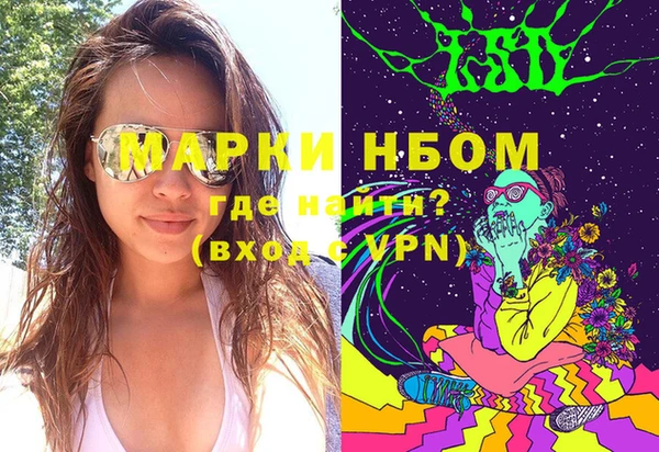ECSTASY Горняк