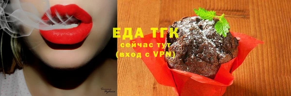 ECSTASY Горняк