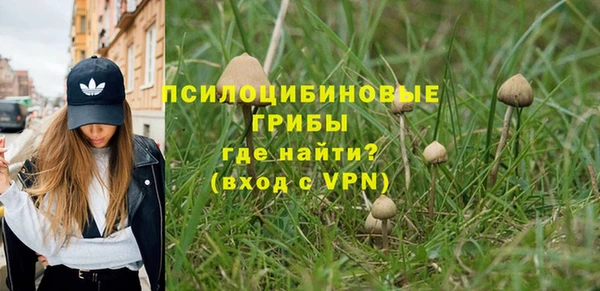 ECSTASY Горняк