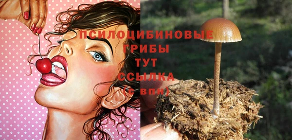 COCAINE Горнозаводск