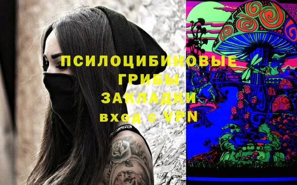 дмт Горно-Алтайск