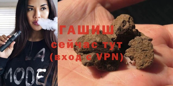 ECSTASY Горняк