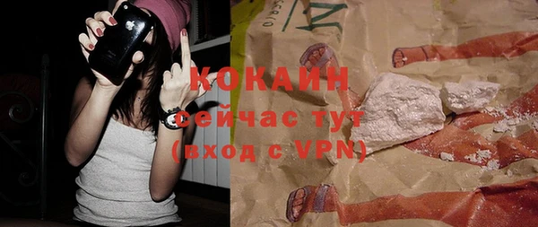 дмт Горно-Алтайск