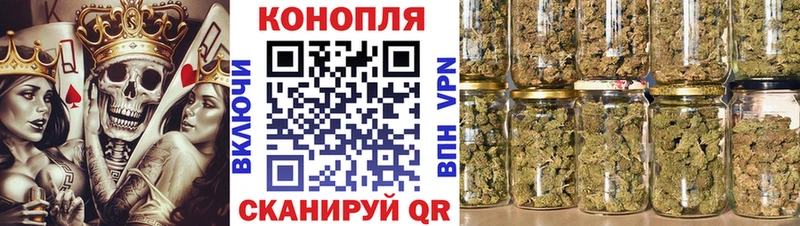Купить  Элиста  Каннабис индика 